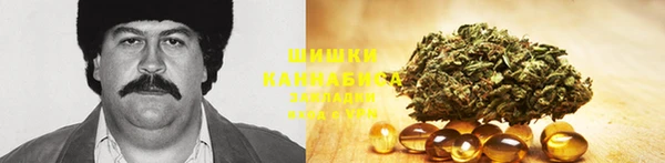 гидра Алзамай
