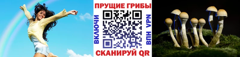кракен ONION  Каневская  Галлюциногенные грибы мицелий  купить  