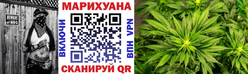МАРИХУАНА семена  Каневская 